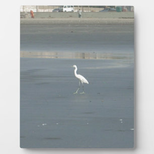 Witte vogel op grijs zand strand art print fotoplaat