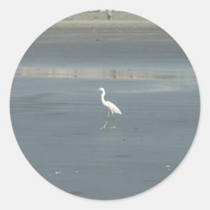 Witte vogel op grijs zand strand art print ronde sticker