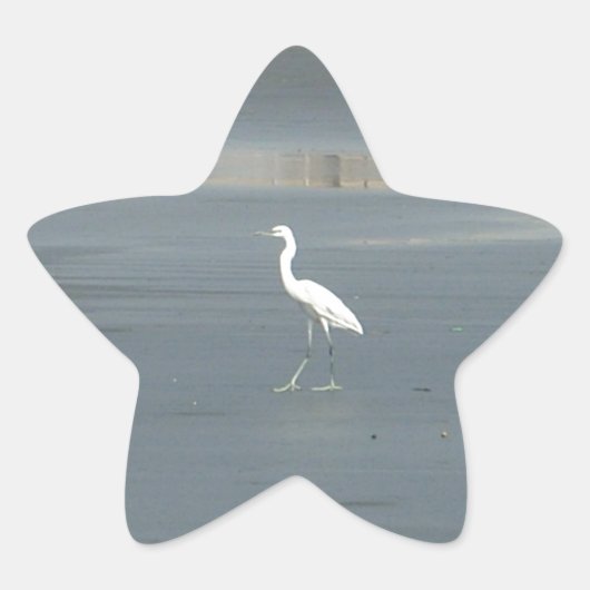 Witte vogel op grijs zand strand art print ster sticker (Voorkant)
