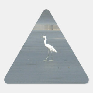 Witte vogel op grijs zand strand art print sticker