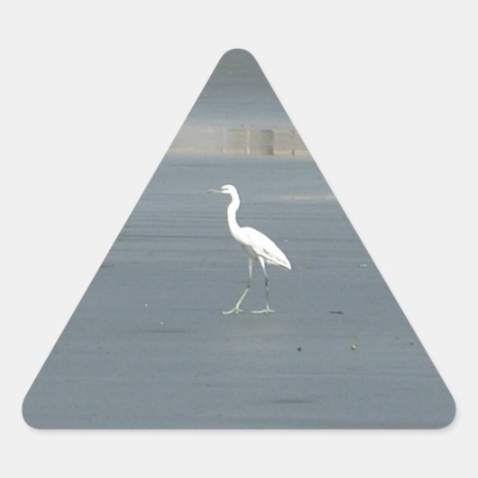 Witte vogel op grijs zand strand art print sticker (Voorkant)