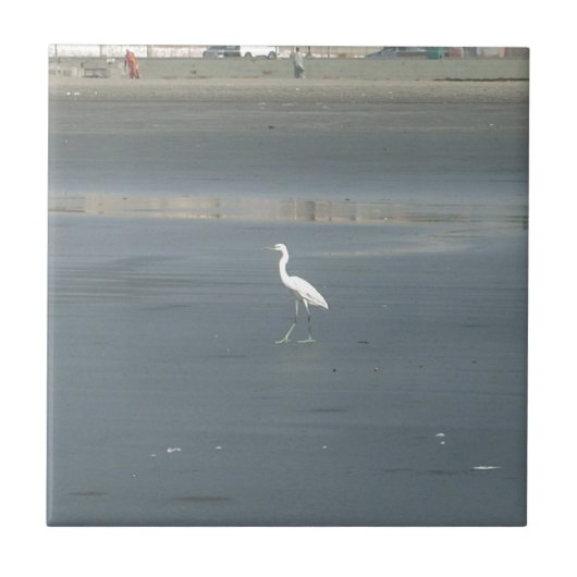 Witte vogel op grijs zand strand art print tegeltje (Voorkant)