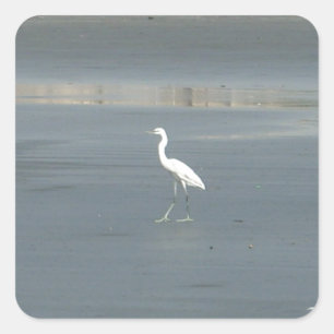 Witte vogel op grijs zand strand art print vierkante sticker