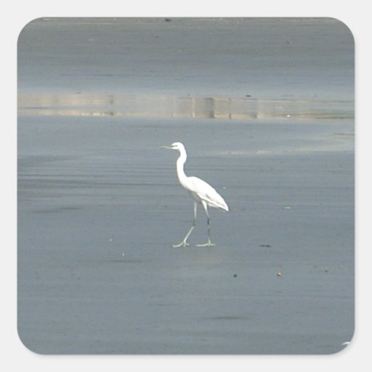 Witte vogel op grijs zand strand art print vierkante sticker (Voorkant)
