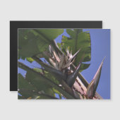 Witte vogel van de Paradise-magnetische-kaartkoelk (Voorkant / Achterkant)