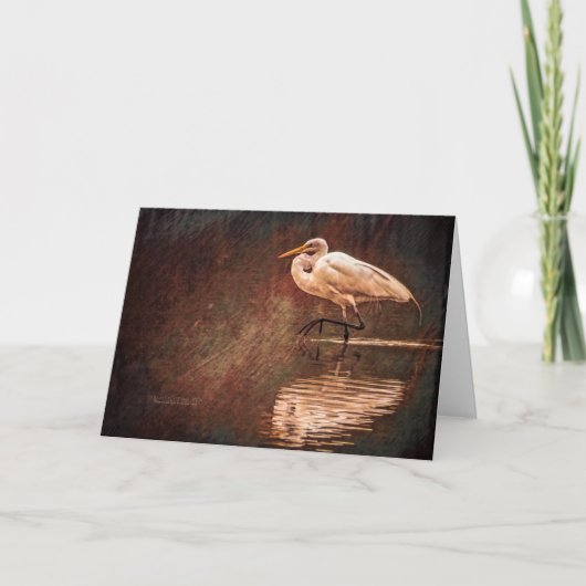 Witte vogelgriep in water kaart (Voorkant)