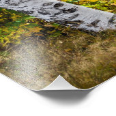 Witte vogels in het najaar foto afdruk (Hoek)