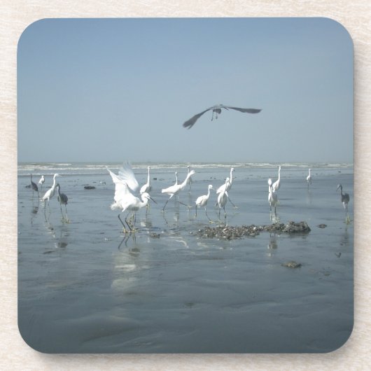 Witte vogels met hakuna matata.JPG Bier Onderzetter (Voorkant)