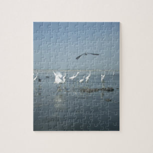 Witte vogels met hakuna matata.JPG Legpuzzel