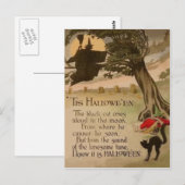 Witte volle Moon Pumpkin Black Cat Briefkaart (Voorkant / Achterkant)