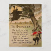 Witte volle Moon Pumpkin Black Cat Briefkaart (Voorkant)