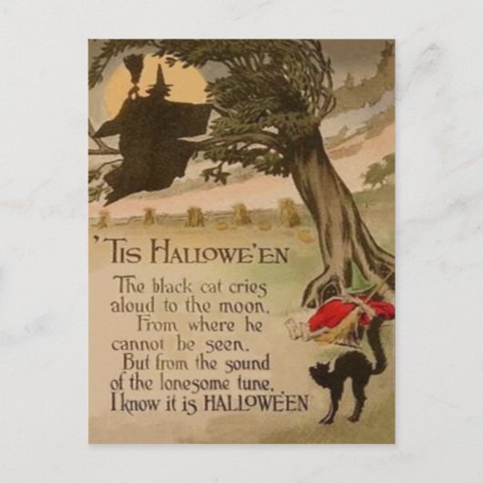 Witte volle Moon Pumpkin Black Cat Briefkaart (Voorkant)