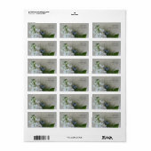 Witte voorraad met nigellabloemen etiket (Full Sheet)