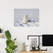 Witte vos poster (Thuiskantoor)