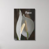 Witte Vrede Lelie Bloemen Elegant Fotografisch Canvas Afdruk (Voorkant)