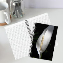 Witte Vredeslelie Foto Bloemstuk