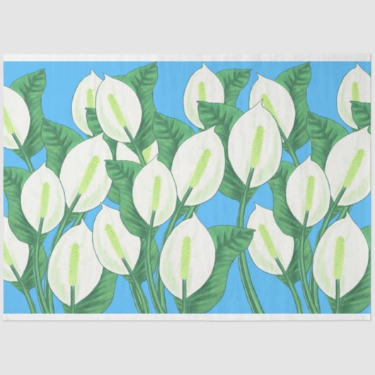 Witte vredesleugens op bleke blauwe achtergrond tissuepapier (Voorkant)