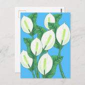 Witte vreedslilies op een lichtblauwe achtergrond briefkaart (Voorkant / Achterkant)