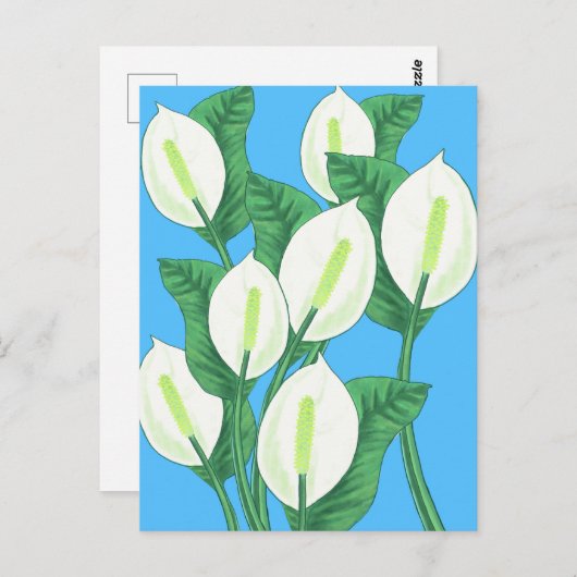 Witte vreedslilies op een lichtblauwe achtergrond briefkaart (Voorkant / Achterkant)