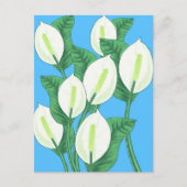 Witte vreedslilies op een lichtblauwe achtergrond briefkaart (Voorkant)