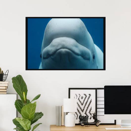 Witte walvis poster (Thuiskantoor)