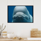 Witte walvis poster (Keuken)