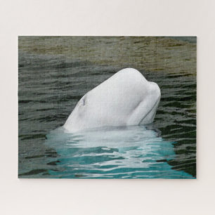 Witte walvissen legpuzzel