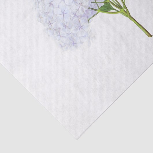  witte waterdichte bloem tissuepapier (Detail)