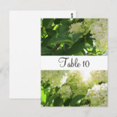 Witte waterdichte tafelzitplaatsen briefkaart (Voorkant / Achterkant)