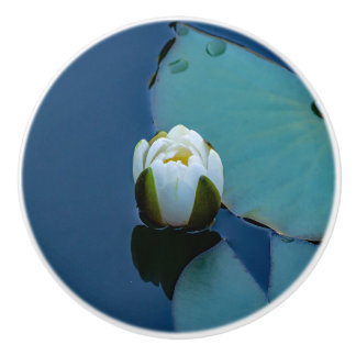 Witte waterlelie in de vijver, foto van de natuur keramische knop