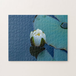 Witte waterlelie in de vijver, foto van de natuur legpuzzel