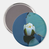 Witte waterlelie in de vijver, foto van de natuur magneet (Voorkant / Achterkant)