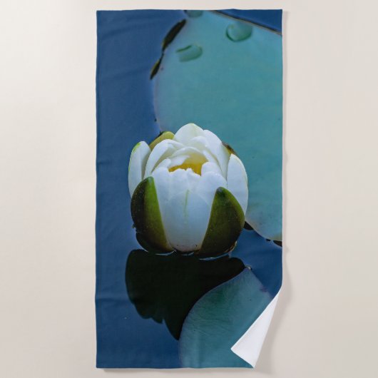 Witte waterlelie in de vijver, foto van de natuur strandlaken (Voorkant)