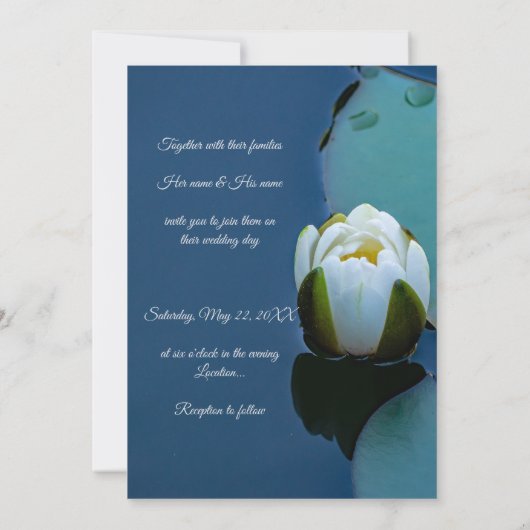 Witte waterlelie in de vijver, natuur fotografie kaart (Achterkant)