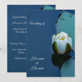 Witte waterlelie in de vijver, natuur fotografie kaart (Voorkant / Achterkant)