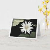 Witte waterlelie kaart (Gele Bloem)