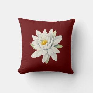 Witte waterlelie kussen