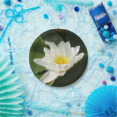 Witte Waterlelie, Lotus Bloemdocument Bord (Feest)