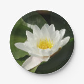 Witte Waterlelie, Lotus Bloemdocument Bord (Voorkant)