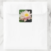 Witte Waterlelie/Lotus Flower Sticker (Tas)
