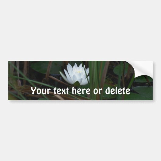 Witte Waterlelie Lotusbloem Persoonlijk Bumpersticker (Voorkant)