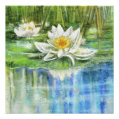 Witte waterlelie Nymphaea alba Poster (Voorkant)