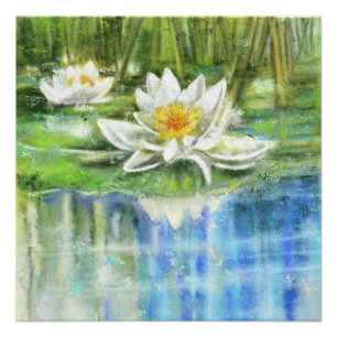 Witte waterlelie Nymphaea alba Poster