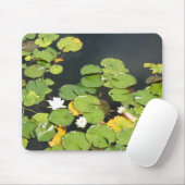 Witte Waterlelies Foto Muismat (Met muis)