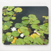 Witte Waterlelies Foto Muismat (Voorkant)