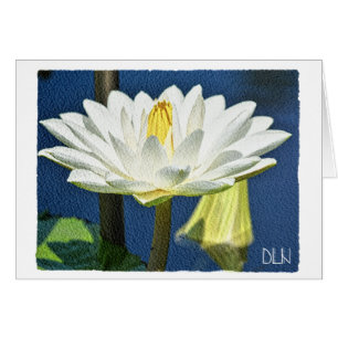 Witte waterlievelbloem/Floral Art/