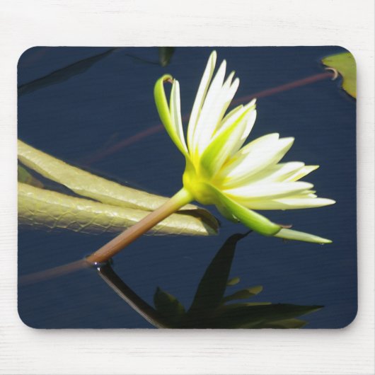 witte waterlievelingsmousepad muismat (Voorkant)