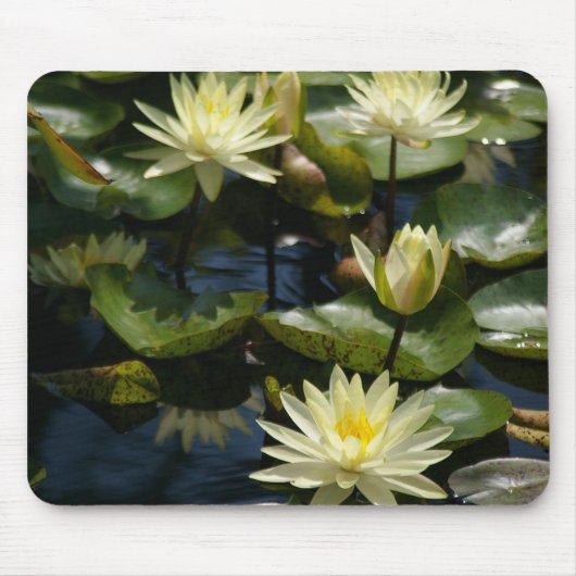 witte waterlievelingsmousepad muismat (Voorkant)