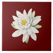 Witte waterlippenbloem tegeltje (Voorkant)