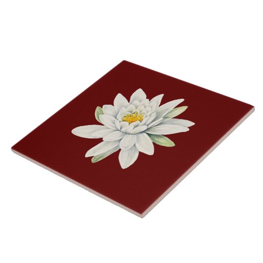 Witte waterlippenbloem tegeltje (Zijkant)